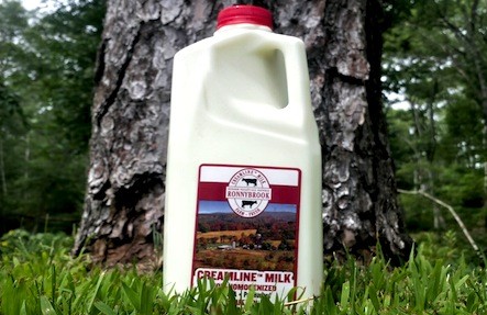 eggs nyc and butter design Home NYC : Organic Long in Roots Rustic Delivery Island Service & eggs nyc and butter design Home NYC : Organic Long in Roots Rustic Delivery Island Service &